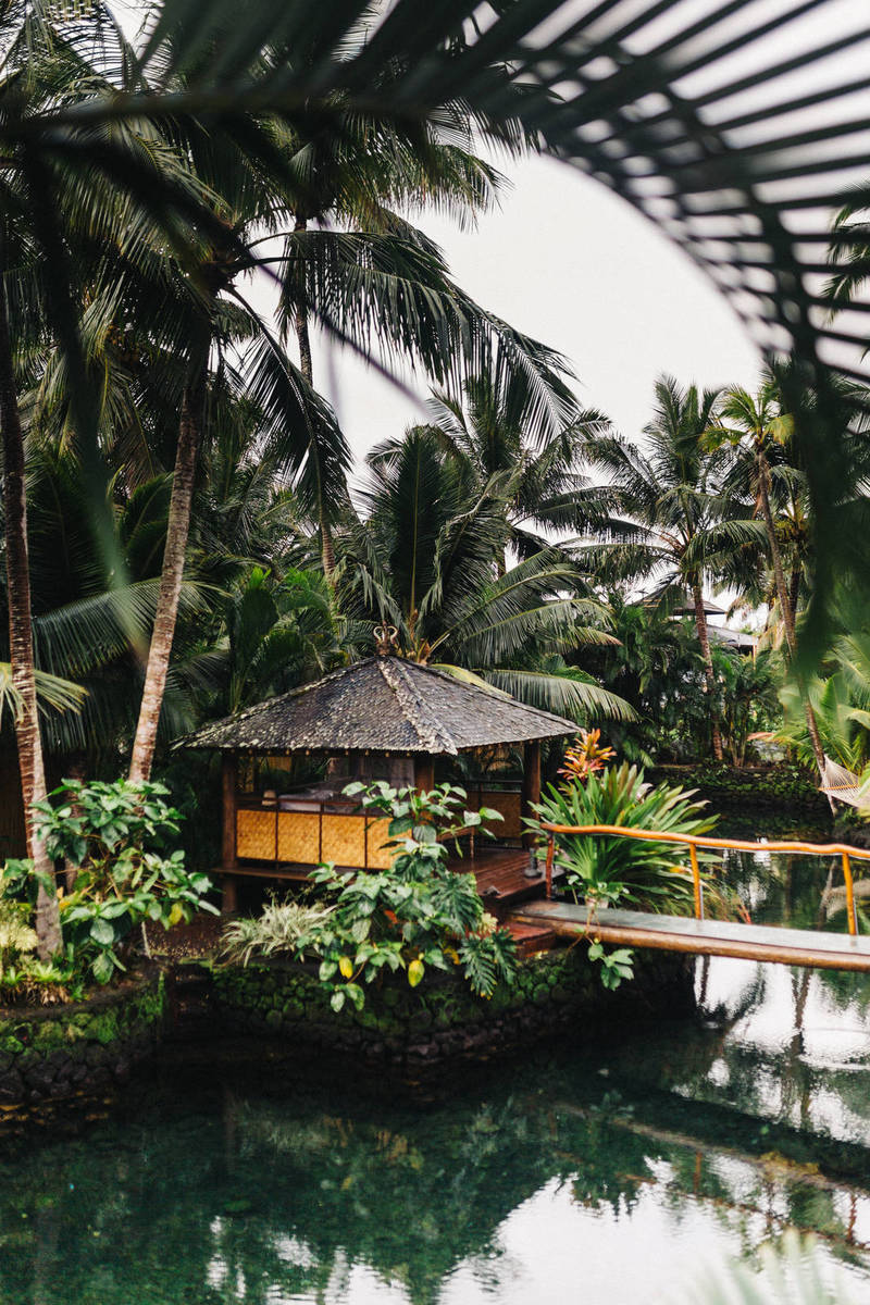 Fatal Frame: Maiden of Black Water Review – A Damp Squib (PS5)